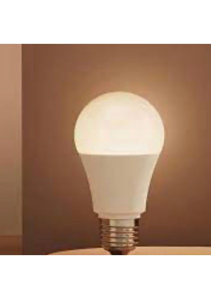 LED Ampul Beyaz+Gunisigi (6 Adet) 6'lı Beyaz Işık E27 LED Ampul 9 Watt Yok modelleri