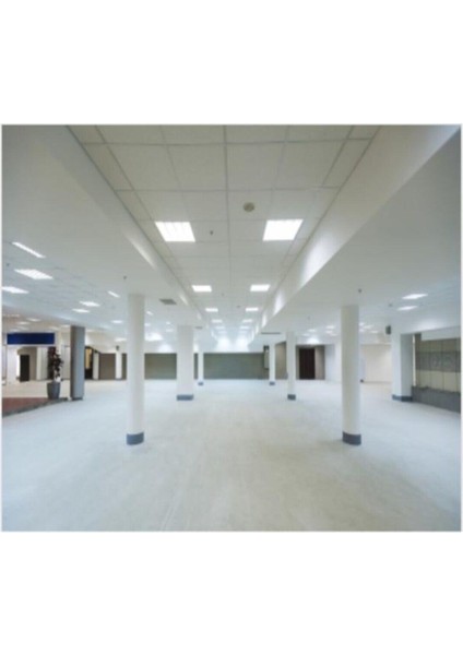 Master Tl5 He 28W T5 Floresan Beyaz 865 115 cm Beyaz Işık Floresan Ampul 28 Watt fırsatları