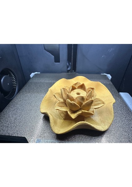 Lotus Plakası modelleri