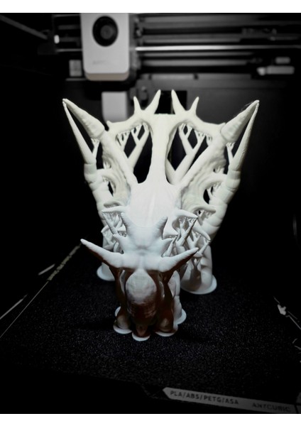 Styracosaurus Kafatası Fosil fiyatları