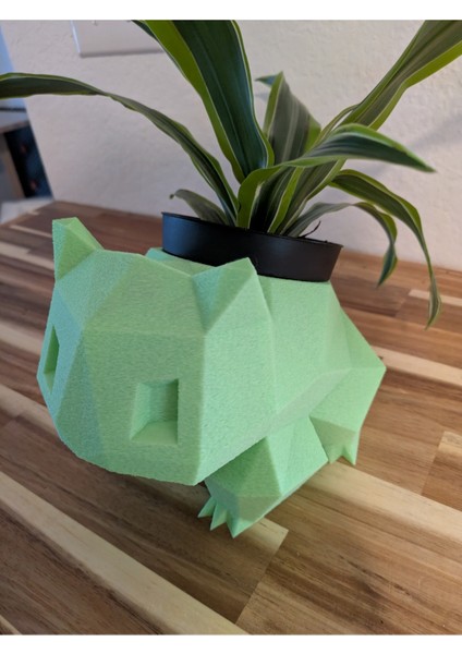 Bulanık Bulbasaur Ekici - Yılan Planı Sürümü fiyatları