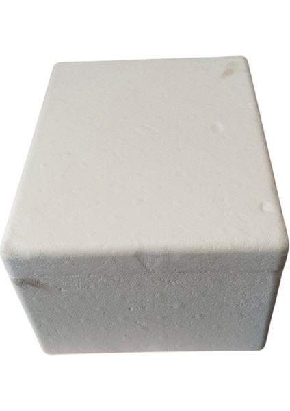 Beyaz Strafor Köpük Kutu Taşıma Kutusu 2 kg Lık Köpük Kutusu 1 Adet Beyaz 8 x 30 Tekli Taşıma Kolisi fırsatları