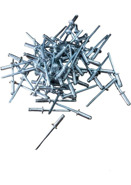 Alüminyum Pop Perçin 4*20 (100 Adet)