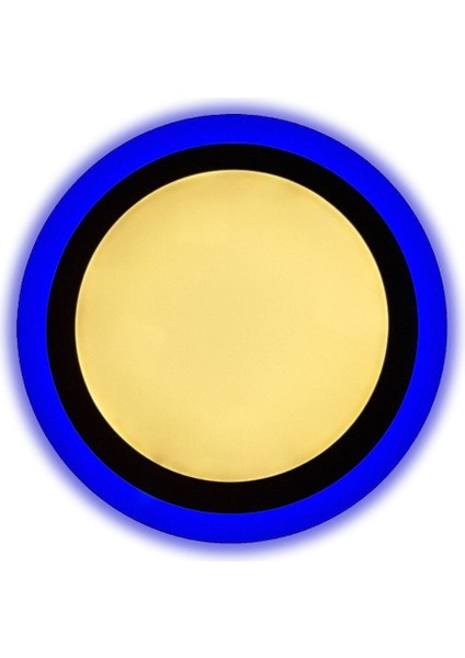 Çift Renkli 12+4 W LED Panel Sıva Üstü Yuvarlak Spot Armatür (Mavi - Gün Işığı)