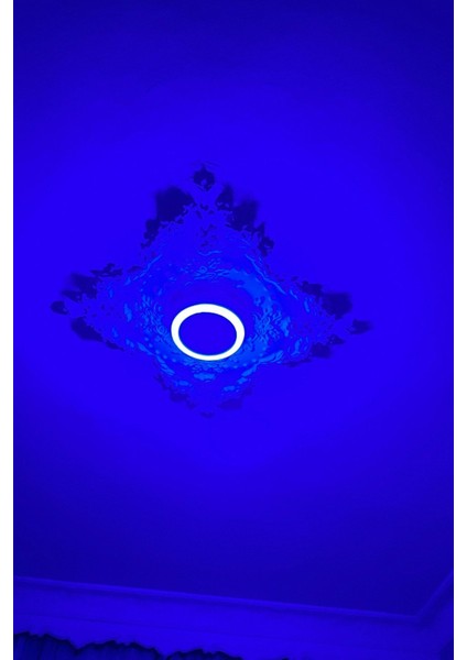 Çift Renkli 12+4 W LED Panel Sıva Üstü Yuvarlak Spot Armatür (Mavi - Gün Işığı) fırsatları