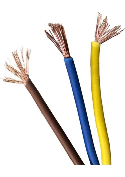 5 Metre 3x1,5 mm Cca Ttr Tekli Beyaz Renk Topraklı Kauçuk Seyyar Elektrik Kablosu 1 Yok 4 - 5 M Yok modelleri