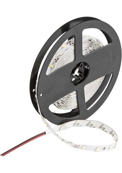 CT-4481 LED Şerit 10 Çipli Günışığı Işık (5 Metre) Gün Işığı E27 LED Ampul 6 Watt Var