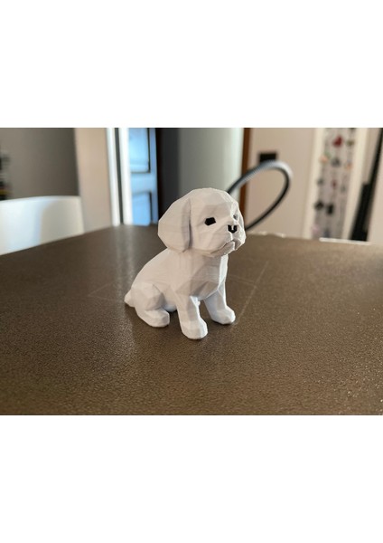 Maltalı Köpek Düşük Poli fiyatları