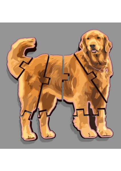 Flexi Dog (Golden Retriever) (Özelleştirilebilir Tasarım)