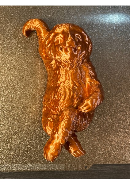 Sevimli Asılı Tembel Dikiz Aynası/ Vazo Bitki Tenceresi