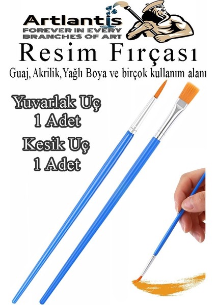 Resim Fırçası Kesik ve Yuvarlak Uçlu 2 Adet Sentetik Fırça Ekonomik Suluboya Akrilik Boya Guaj Boya Yağlı Boya Resim