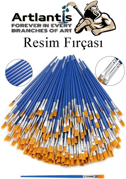 Resim Fırçası Kesik ve Yuvarlak Uçlu 2 Adet Sentetik Fırça Ekonomik Suluboya Akrilik Boya Guaj Boya Yağlı Boya Resim modelleri