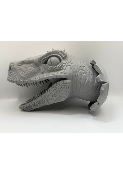 Duvar Dekorasyonu Için Velociraptor Kafa ve Duvarlar