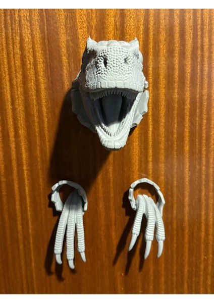 Duvar Dekorasyonu Için Velociraptor Kafa ve Duvarlar fiyatları