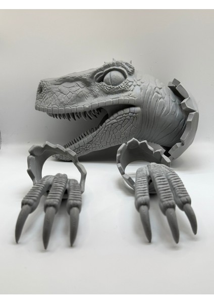 Duvar Dekorasyonu Için Velociraptor Kafa ve Duvarlar modelleri