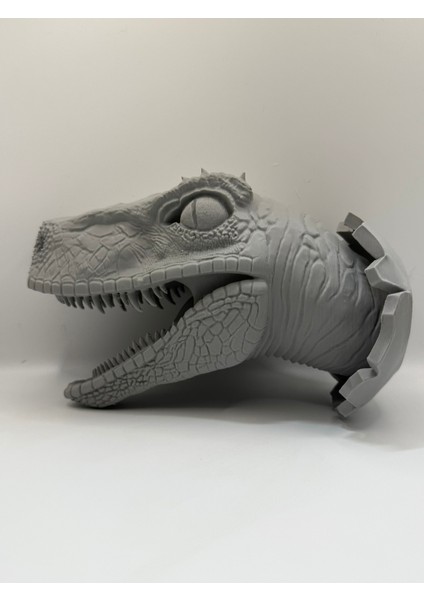 Duvar Dekorasyonu Için Velociraptor Kafa ve Duvarlar indirimleri