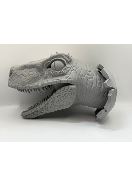 Duvar Dekorasyonu Için Velociraptor Kafa ve Duvarlar