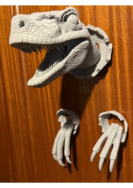 Duvar Dekorasyonu Için Velociraptor Kafa ve Duvarlar