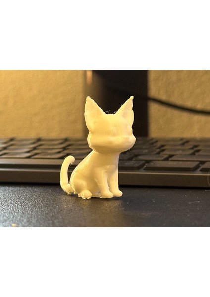 Düşük Poli Kedi