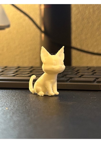 Düşük Poli Kedi fiyatları