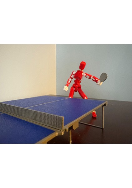 Katlanabilir Masaüstü Masa Tenis Mahkemesi (Özelleştirilebilir Tasarım)