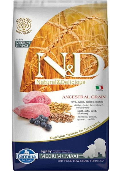 Nd Ancestral Grain Düşük Tahıllı Kuzu Eti ve Yaban Mersinli Orta ve Büyük Irk Yavru Köpek Maması 12KG