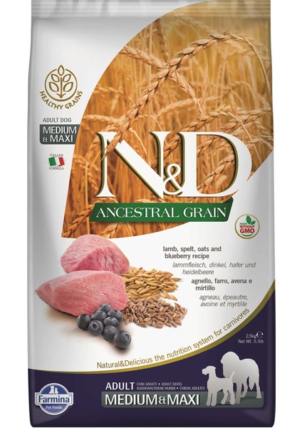 Nd Ancestral Grain Düşük Tahıllı Kuzu Eli ve Yaban Mersinli Orta ve Büyük Irk Yetişkin Köpek Maması 2,5kg