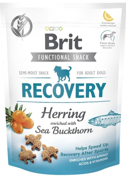 Brit Recovery Ringa Balıklı Köpek Ödül MAMASI150GR