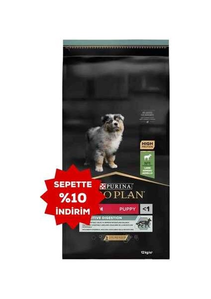 Puppy Kuzu Etli Orta Irk Hassas Mideli Yavru Köpek Maması 12KG