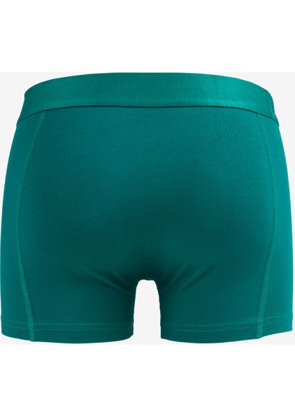 Yeşil Erkek Boxer Jacallan Trunks Exc fiyatları