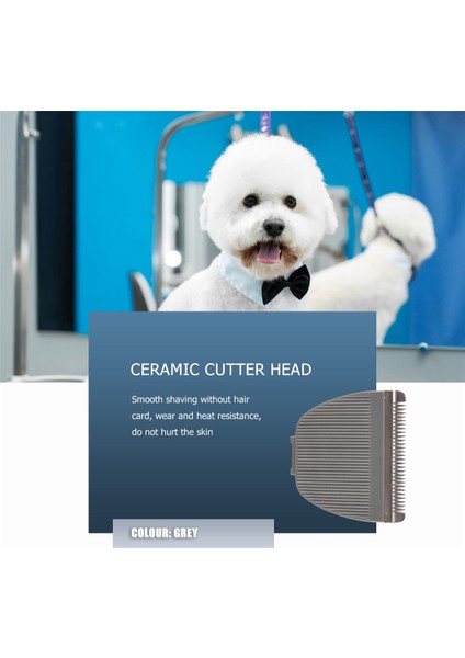 Codos CP-6800 KP-3000 CP-5500 Için 2 Adet Saç Kesme Makinesi Yedek Bıçağı, Gri (Yurt Dışından) fiyatları