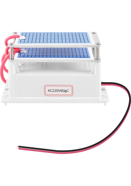 60G/H Ozon Jeneratörü Hava Temizleyici Ozonizer Arıtıcı Arıtma Formaldehit Koku Giderici Ozon Makinesi 220V (Yurt Dışından)
