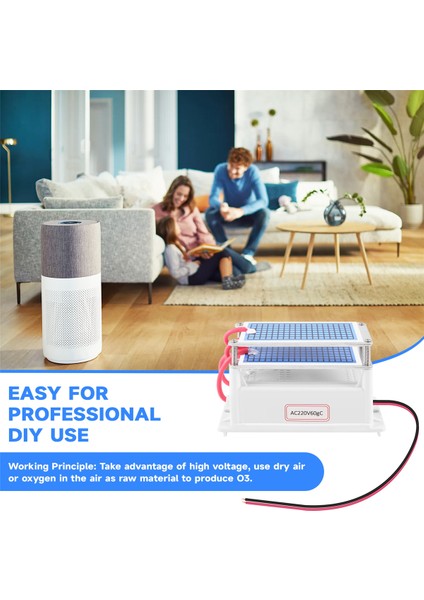 60G/H Ozon Jeneratörü Hava Temizleyici Ozonizer Arıtıcı Arıtma Formaldehit Koku Giderici Ozon Makinesi 220V (Yurt Dışından) fırsatları