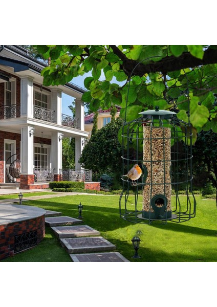 Kuş Caydırıcı Pas Koşullu Asma Kuş Besleyici Kafesi Bahçe Arka Bahçesi Sincap Korumalı Yabani Kuş Besleyici Yeşil (Yurt Dışından) fırsatları
