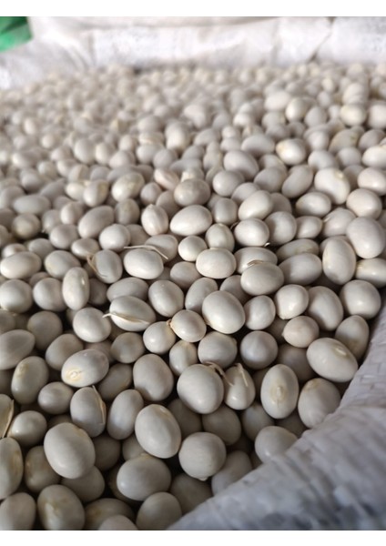 Ispir Fasulye 1000 gr 2025 Ekim Mahsulü indirimleri