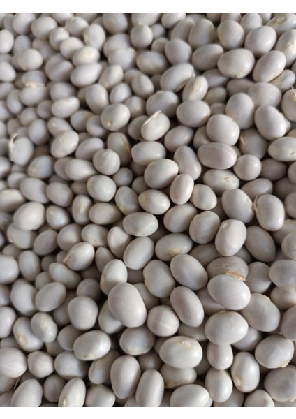 Ispir Fasulye 1000 gr 2025 Ekim Mahsulü fırsatları