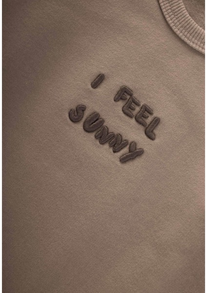 Nakışlı Sweatshirt 1-7 Yaş S Vizon