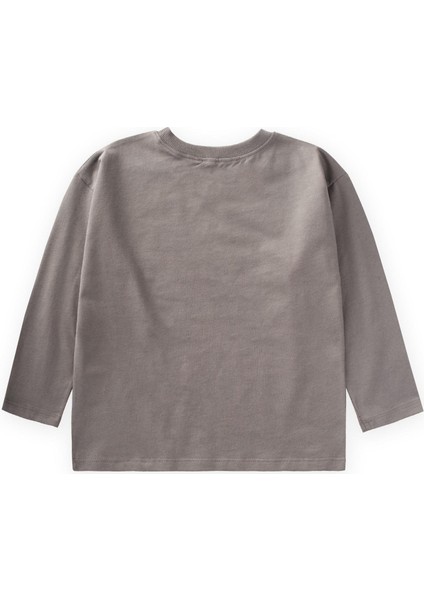 Mevsimlik Basic T-Shırt 2-10 Yaş Vizon fiyatları