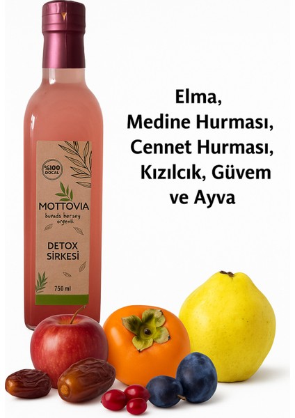 Detoks Sirkesi Mix Doğal Fermante 500 ml Elma,medine Hurması,cennet Hurması,kızılcık,güvem,ayva modelleri