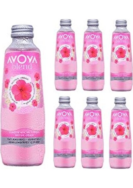 Blend Hibiskus Meyveli Maden Suyu 250 ml Limon Kabuğu ile Ferahlatıcı Lezzet fiyatları