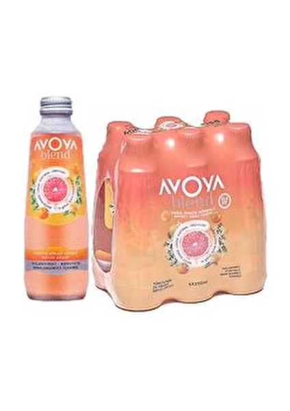 Blend Greyfurt Portakal Maden Suyu 250 ml Doğal İçeriklerle Canlandırıcı Lezzet modelleri