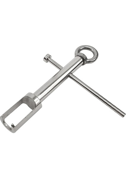 Benz M276 M274 M270 Için Yakıt Enjektörü Nozul Çektirici Çıkarıcı Çıkarma Aracı (Yurt Dışından) fiyatları