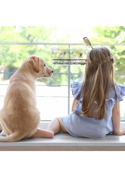 Pencere kuş besleyici, yabani kuş besleyici, şeffaf pencere kuş besleyici, zarif kuş gözlemciliği hediyesi (Yurt Dışından) modelleri