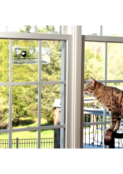 Pencere kuş besleyici, yabani kuş besleyici, şeffaf pencere kuş besleyici, zarif kuş gözlemciliği hediyesi (Yurt Dışından) indirimleri