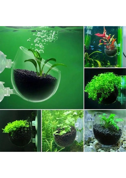 16pcs su bitki fincanları, şeffaf akrilik su bitki potu emişli, akvaryum dekorasyonu 2 şekil (Yurt Dışından) fiyatları