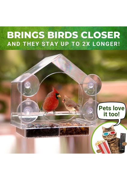 Orta duvar plastik kuş kafesi şeffaf küçük evcil hayvan kuş kafesi duvara monte besleyici dış mekan adsorpsiyonu plastik kuş besleyici (Yurt Dışından) indirimleri