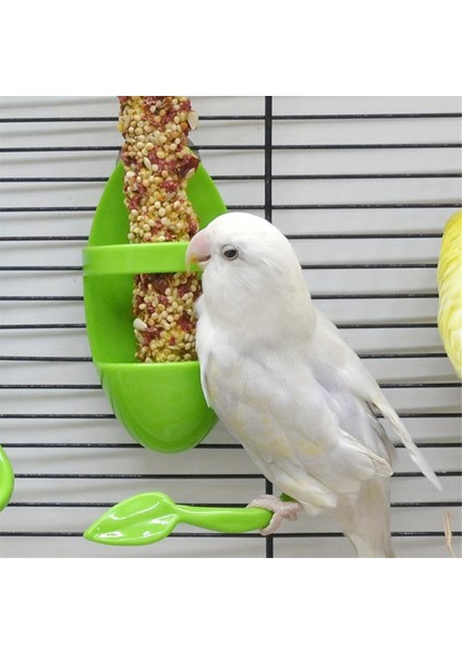 Kuş kafesi besleme rafı sebze meyve mürekkep balığı iskeleti Papağanlar için uygun muhabbet (Yurt Dışından) fırsatları