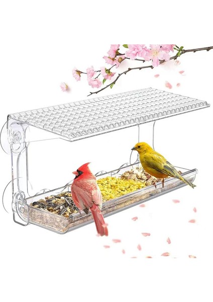 Pencere Kuş Besleyici Temiz Kuş Besleyicileri Pencere 4 Emme Bardağı ve Söndürülebilir Tepsiyle Monte Teslimat Kuş Evi (Yurt Dışından) indirimleri