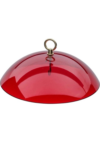 2 adet anti-squirrel kuş besleyicileri koruyucu kapak, kubbe koruyucu kubbe, asma kuş besleyicileri için yağmur koruyucu kapak, bir (Yurt Dışından)