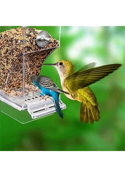 Şeffaf Kuş Besleyiciler Otomatik Papağan Besleyici İçen Tohum Gıda Konteyner Kafesi Küçük ve orta muhabbet kuşları (Yurt Dışından) indirimleri